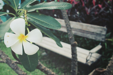 Similar image 9011688