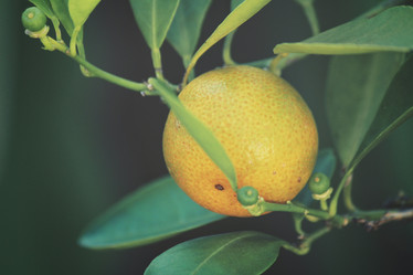 Similar image 9011799