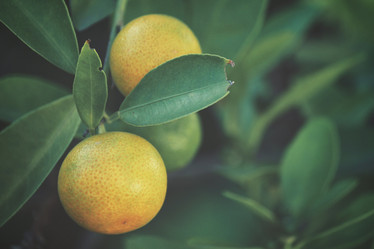 Similar image 9011800