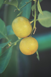 Similar image 9011885