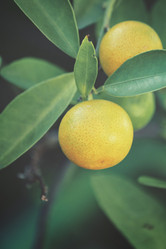 Similar image 9011887