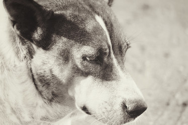 Similar image 9011889