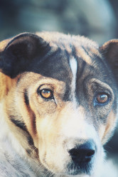 Similar image 9011891