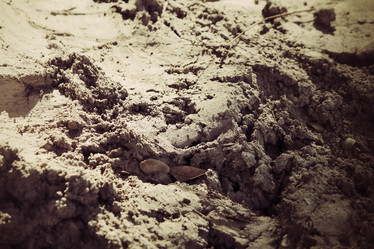 Similar image 9011898