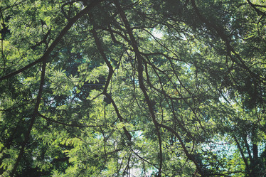 Similar image 9011908