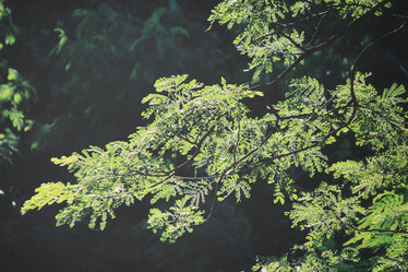 Similar image 9011910