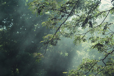 Similar image 9011912