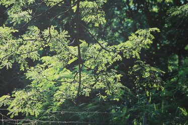 Similar image 9011914