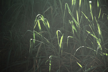 Similar image 9011920