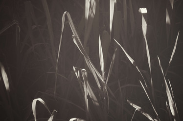 Similar image 9011922