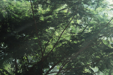 Similar image 9012174