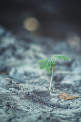 Similar image 9012176