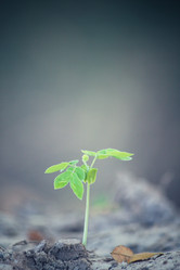 Similar image 9012178