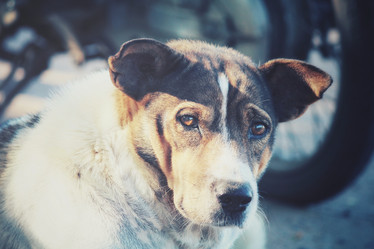 Similar image 9012179