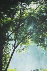 Similar image 9012181