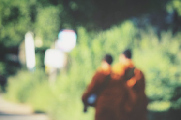 Similar image 9012403