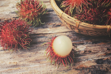 Similar image 9012657