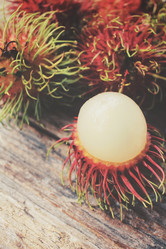 Similar image 9012675