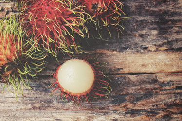 Similar image 9012678