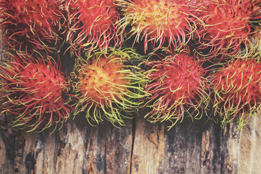 Similar image 9013043