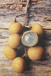 Similar image 9013059