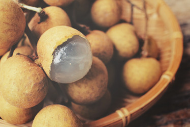 Similar image 9013104