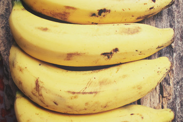 Similar image 9013132