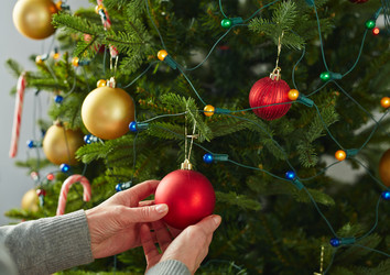 Similar image 9014269