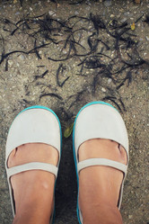 Similar image 9023263