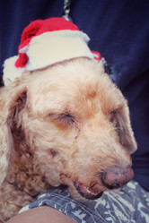 Similar image 9023288