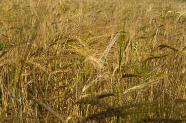 Similar image 9024521