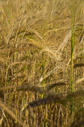 Similar image 9024523