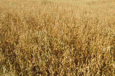 Similar image 9024529