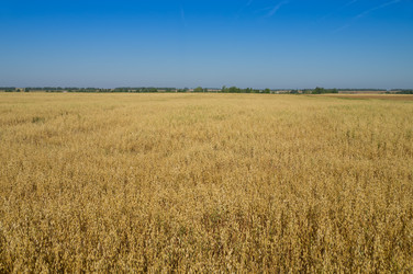 Similar image 9024546