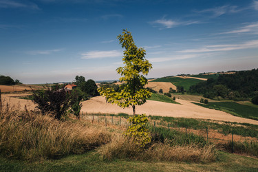 Similar image 9028533