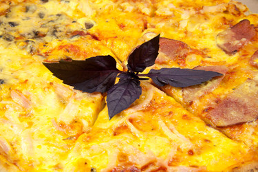 Similar image 9028547