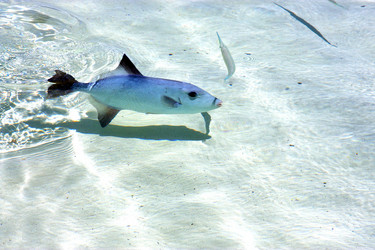 Similar image 9031056