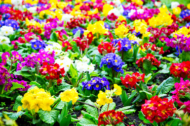 Similar image 9031347