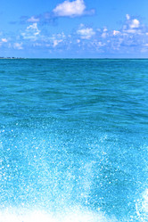 Similar image 9031536