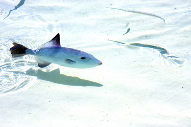 Similar image 9031856