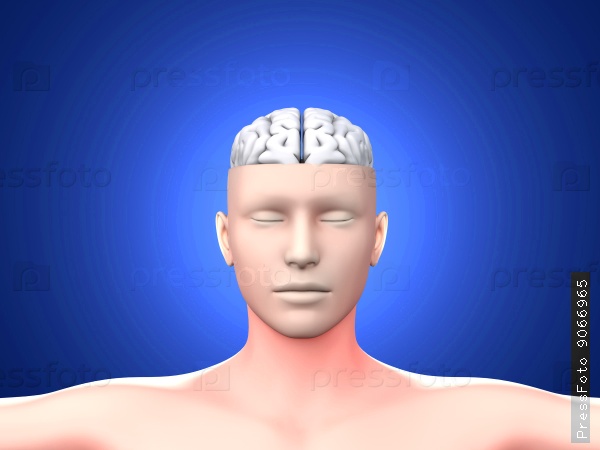 Images of a gay mans brain