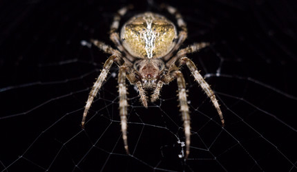 Similar image 9073713