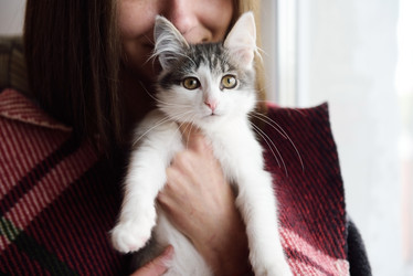 Similar image 9073736