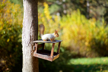 Similar image 9073945