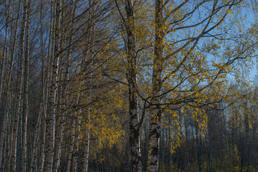 Similar image 9073961