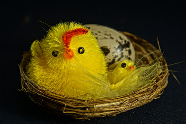 Similar image 9074142