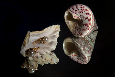 Similar image 9074148