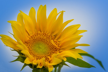 Similar image 9074151