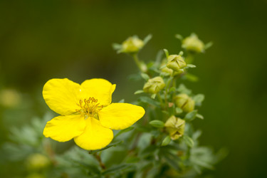 Similar image 9074152