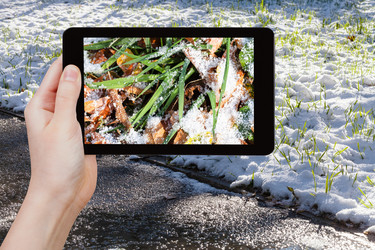 Similar image 9074596